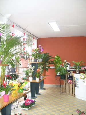Intrieur du magasin Montjoffre fleurs  Ahun