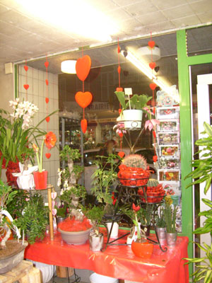 Intrieur du magasin Montjoffre fleurs  Aubusson