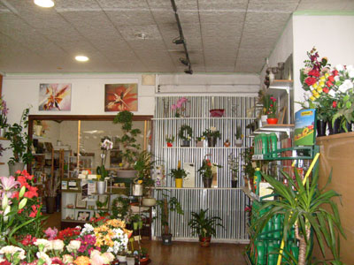 Intrieur du magasin Montjoffre fleurs  Auzances