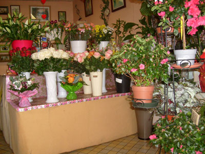 Intrieur du magasin Montjoffre fleurs  Bellegarde en Marche